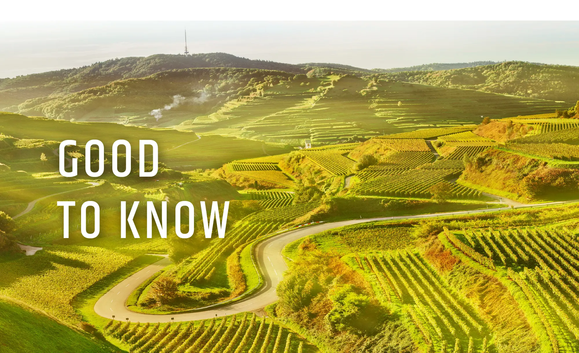 Breisach Appartements